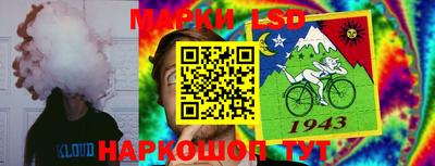 прущие грибы Можга