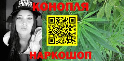 прущие грибы Можга