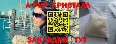 прущие грибы Можга