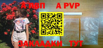 прущие грибы Можга