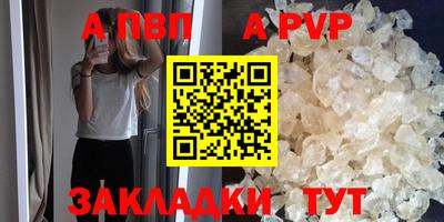 прущие грибы Можга