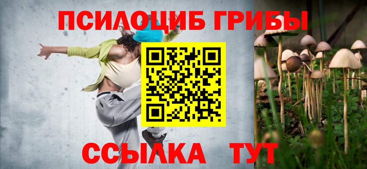 Галлюциногенные грибы Psilocybe Шали
